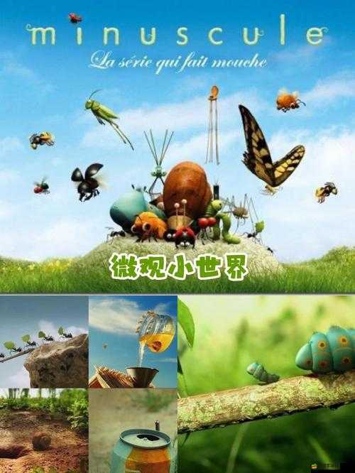 一級片在哪里看？探尋觀看一級片的正規途徑及相關注意事項