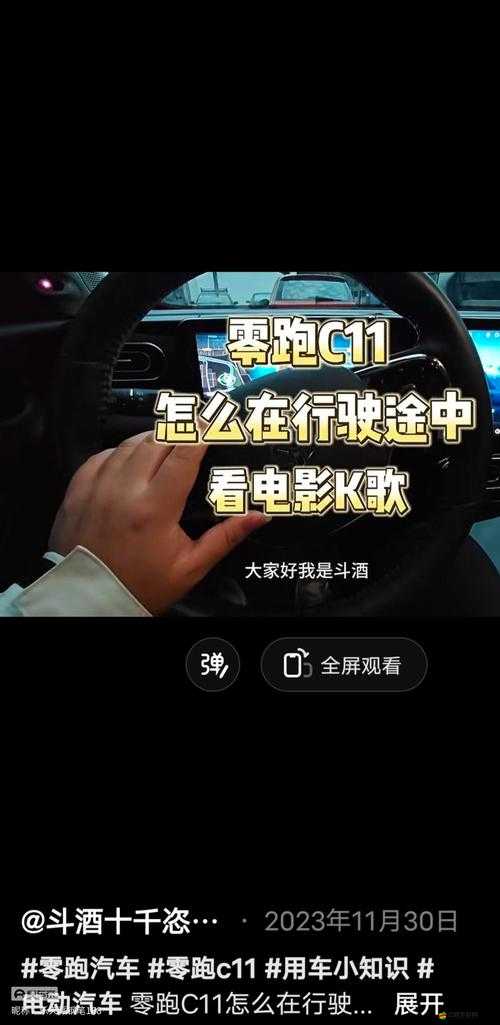 免費開車視頻疼痛有聲音不下載看但可在線直接觀看