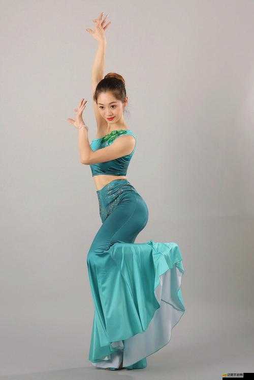 埃及貓舞蹈黃引發(fā)的對于舞蹈藝術(shù)和文化現(xiàn)象的探討