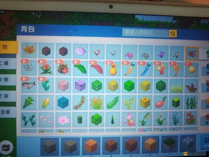 迷你世界2月17日激活碼全面解析與最新分享一覽詳情