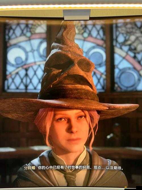 霍格沃茨之遺游戲深度解析，重新捏臉功能及全面捏臉攻略詳解