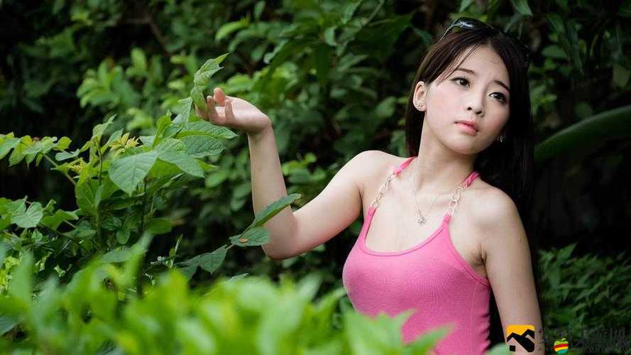 gogoGO 高清直播帶你暢享極致視覺盛宴