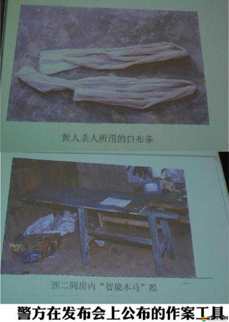 911 爆料：背后隱藏的驚人秘密與不為人知的真相大揭秘