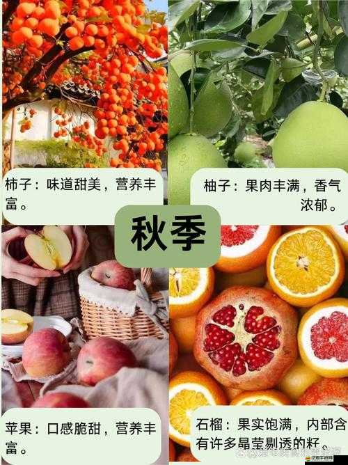 香蕉絲瓜草莓櫻桃草莓榴蓮：六種水果帶來的奇妙世界與豐富體驗