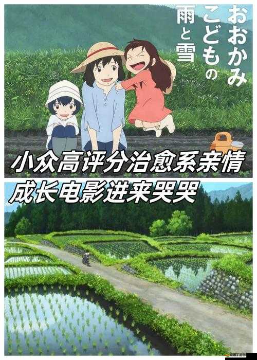 青青草是針對：一部關于青春與成長的電影