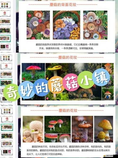 隨時隨地都能干的小鎮——那充滿無限可能的奇妙之地