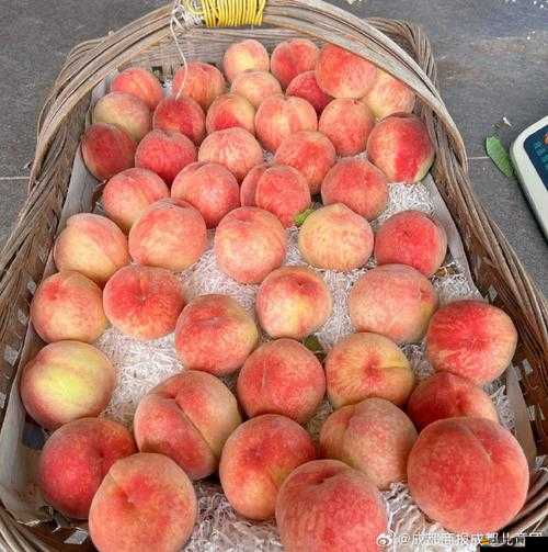 美國的水蜜桃 3：獨特魅力引領水果新潮流