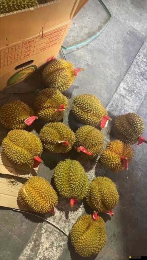 榴蓮秋葵綠巨人WWW蘋果下：探尋其獨特魅力與未知秘密