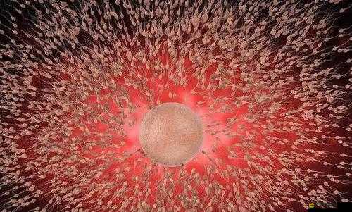 蝌蚪窩自拍視頻：一段展現獨特自我的有趣影像記錄