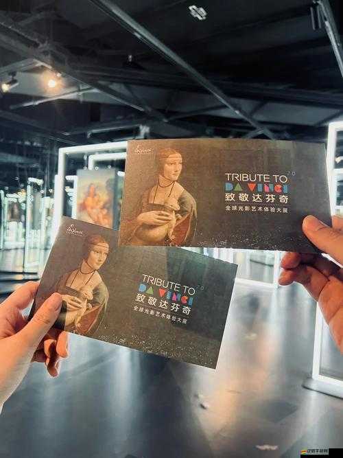 達芬奇密碼圖片-神秘藝術與智慧的交織展現