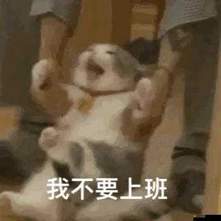 王叔快點可以嗎我趕去上班——上班要緊求快呀