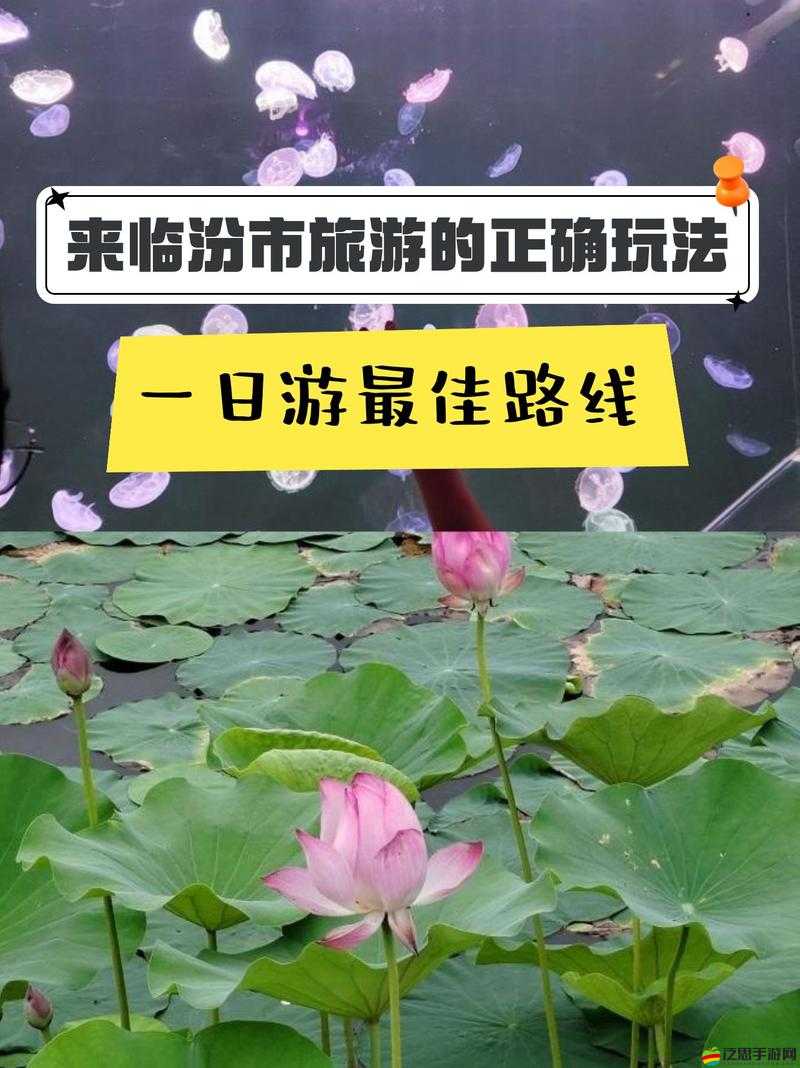 亞洲專區路線一：路線二：探索神秘東方的精彩之旅