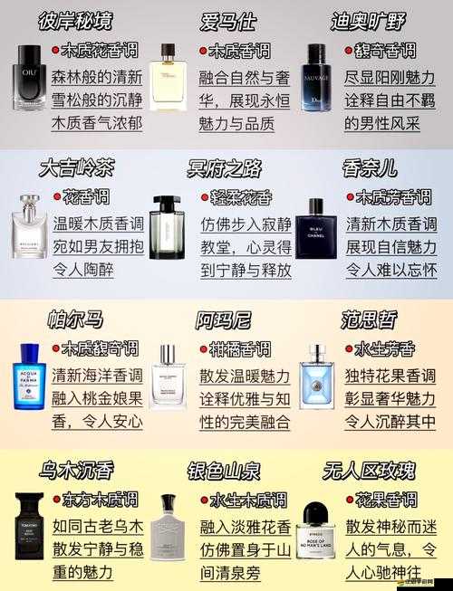 探秘 LV 日本官網官方網站中文版：揭開奢華品牌背后的秘密