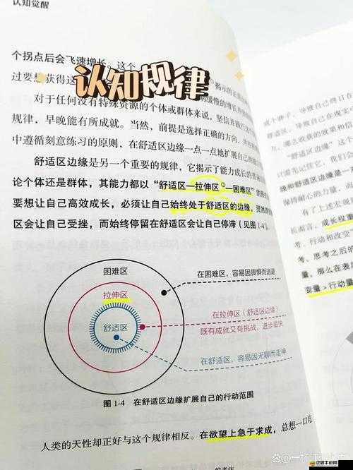成品人與精品人的區別是什么：深度解析兩者本質差異所在