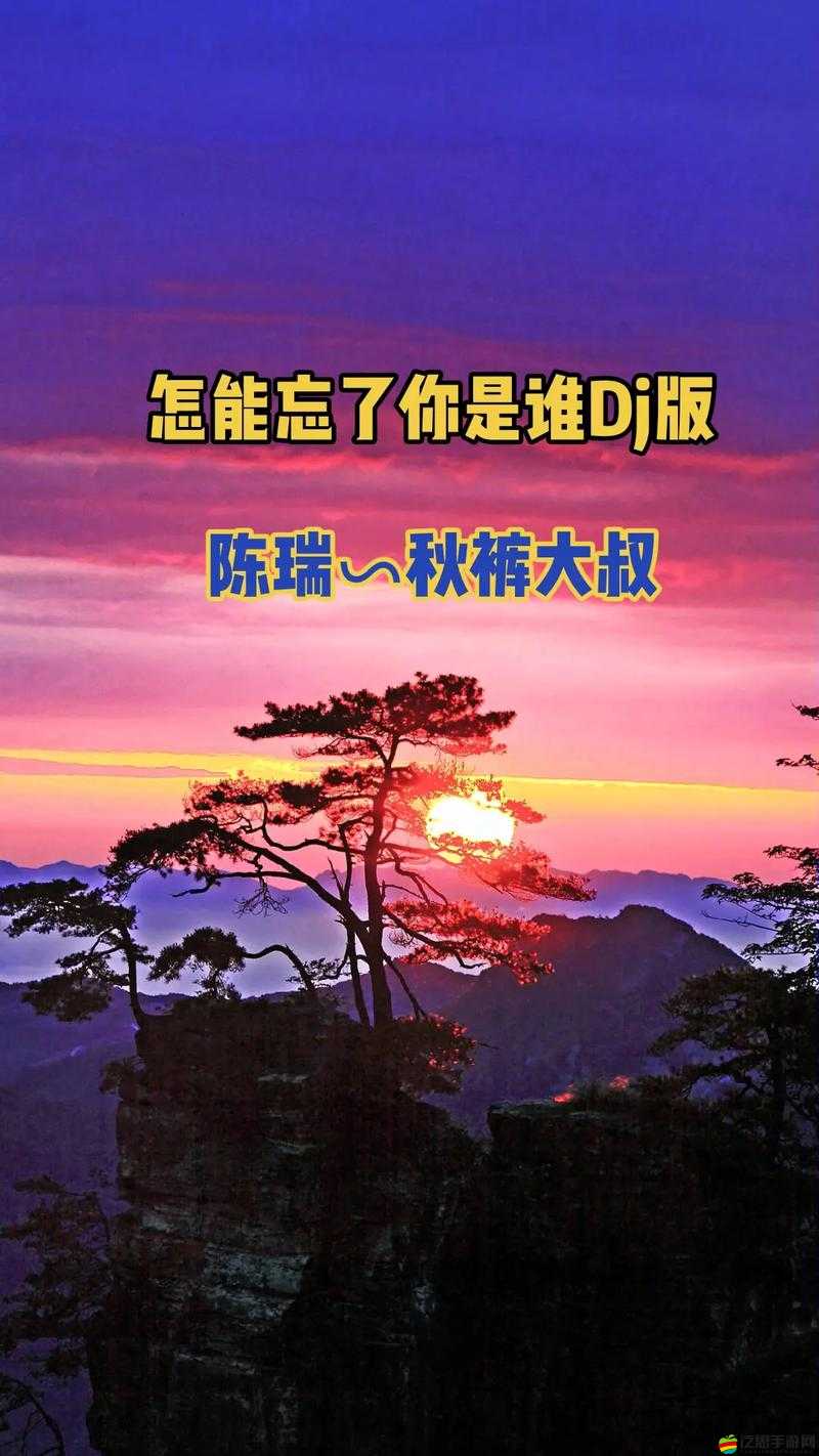 大叔好大叔壞大叔有時也可愛歌詞是哪首歌：探究歌曲背后的故事
