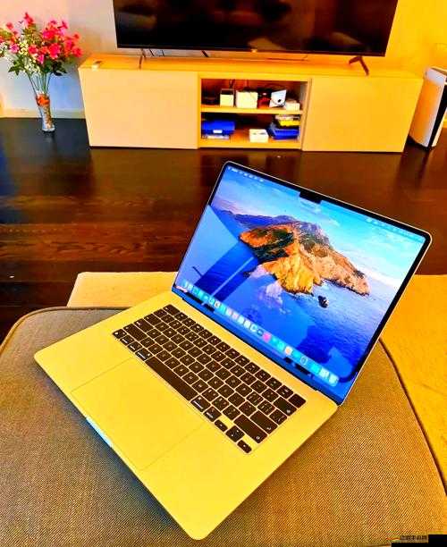 18 19MACBOOK PRO：強大性能與便攜設計的完美融合