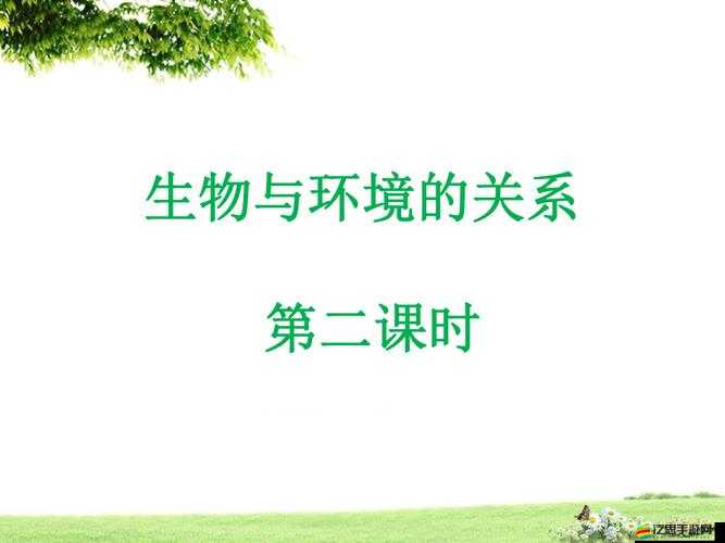 免費(fèi)網(wǎng)站在線觀看人數(shù)在：探究其增長(zhǎng)趨勢(shì)與影響因素