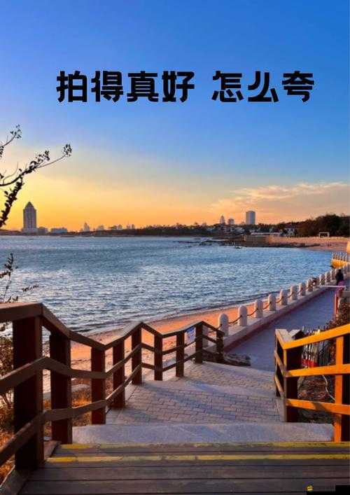 wwwsss 啊啊啊：這真是令人印象深刻又獨特的表達啊