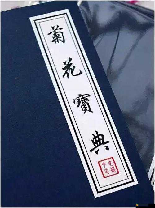 六年級菊花能塞下幾支筆：關于這個問題的深入探討與研究
