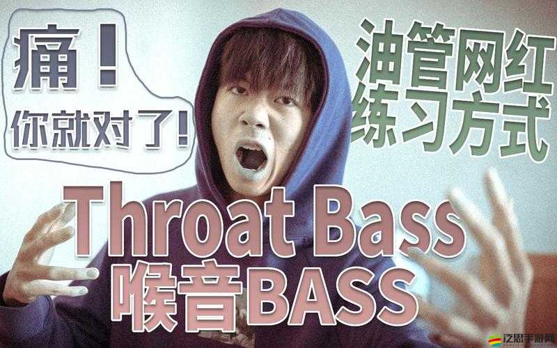 BBOX 入門 BASS：基礎教學與進階技巧分享