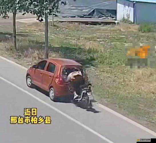 9 分 42 秒頭撞玻璃會造成何種后果？