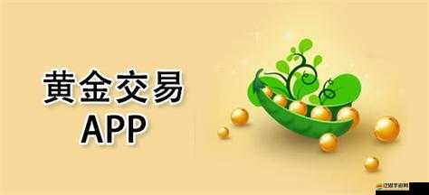 黃金軟件下載安裝 3.3.0 最新版：暢享便捷高效體驗