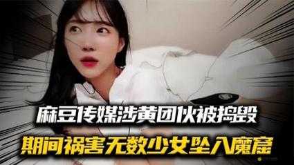麻豆傳謀在線觀看免費mv：千萬不可觸碰的違法內容