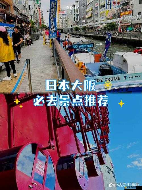 探索日本視頻世界：wwwjjzz 日本的獨特魅力