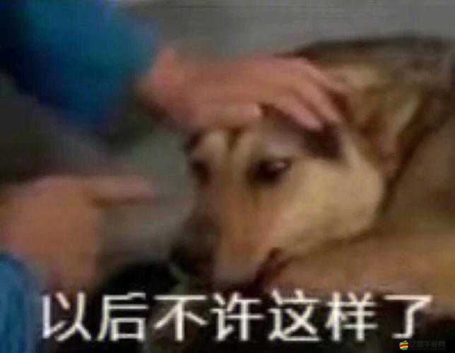 啊你tm的不要舔了app真的很特別讓人印象深刻啊