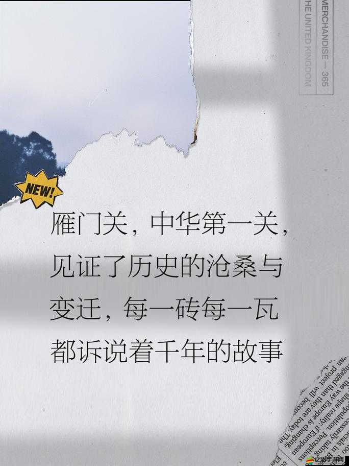 08 年雁門照還能找到嗎：一段被遺忘的歷史記憶