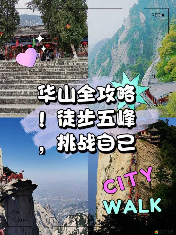 武林閑俠12月1日新版本江湖傳說之華山篇詳盡攻略指南