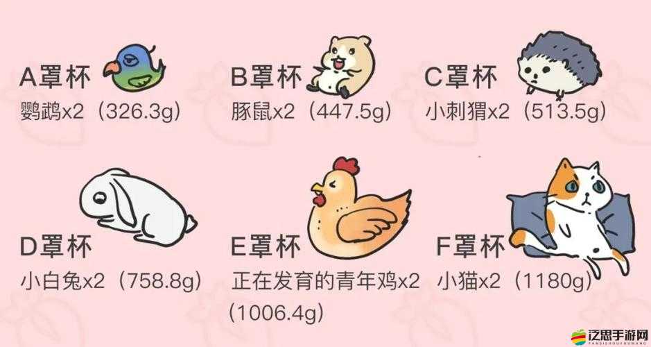 B 大與小的區別在于其對事物影響的程度及范圍的不同
