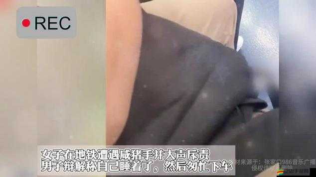 地鐵上配合咸豬豬手：公共場合這種行為令人不齒