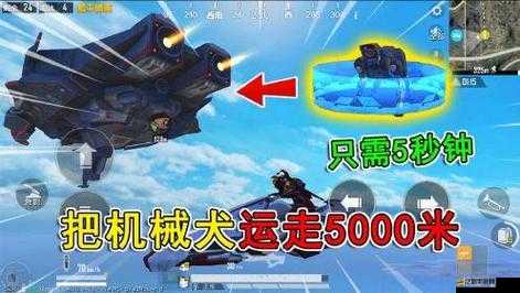和平精英游戲內(nèi)機(jī)械狗馴服全面指南，掌握技巧，成為機(jī)械伙伴的頂尖馴獸師