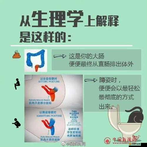 考試不好：你是否愿意成為學校的坐便器？