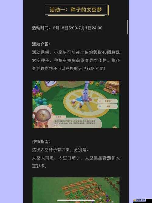 摩爾莊園土地節全面解析，分享任務高效完成攻略指南