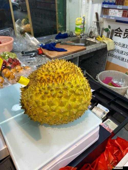 榴蓮視頻最新免費版下載：暢享無限制精彩視頻