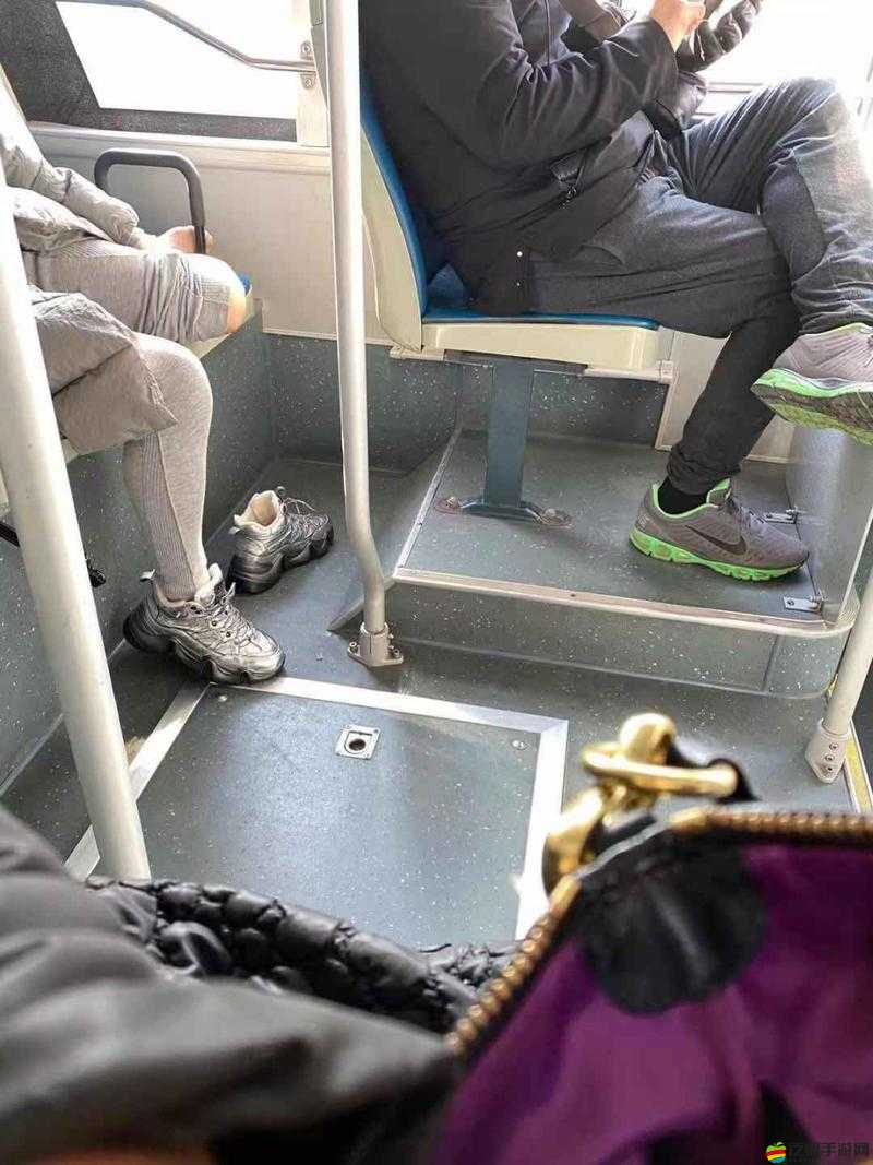 公交車上：不道德的私密行為