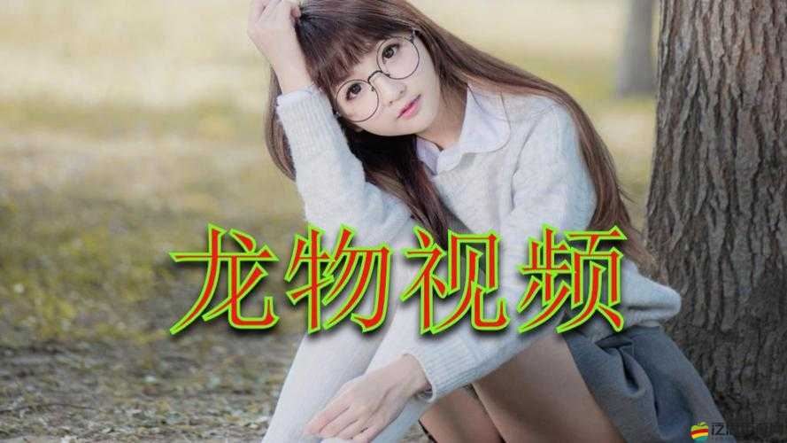 YW193 龍物高清免費：視覺盛宴，不容錯過的精彩內容