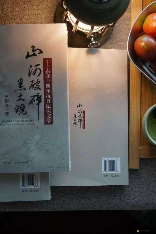 320234 黑土本：一部獨特的文學經典之作