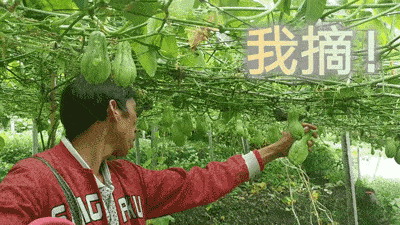 91 吃瓜中心：聚焦吃最新的瓜動(dòng)態(tài)與精彩