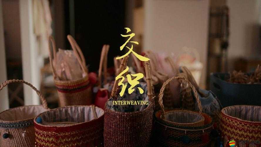 1v2np 辦公室：一場復(fù)雜關(guān)系與工作場景交織的故事