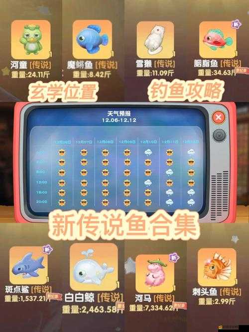 摩爾莊園手游全面指南，詳細解析釣魚點分布及釣魚位置