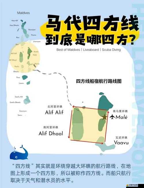 印度 MAY18_XXXXXL56EDU：探索未知的神秘之旅