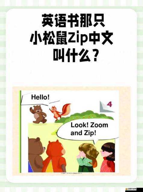 以動物zoom之名，探索zoom的奇妙世界