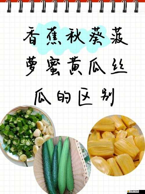 水果盛宴：香蕉榴蓮絲瓜草莓黃瓜的奇妙組合