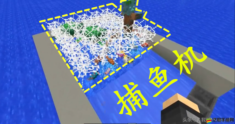 深入我的世界，探究殺害海豚的行為后果及其獨特掉落物品之謎