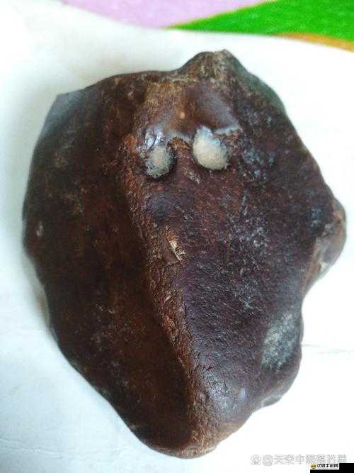 揭秘原始傳奇中盾牌碎片的掉落機(jī)制與探尋其獲取之謎