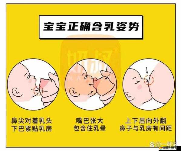 動(dòng)漫中，人物撕開(kāi)內(nèi)衣并吸奶頭的行為是否合適？