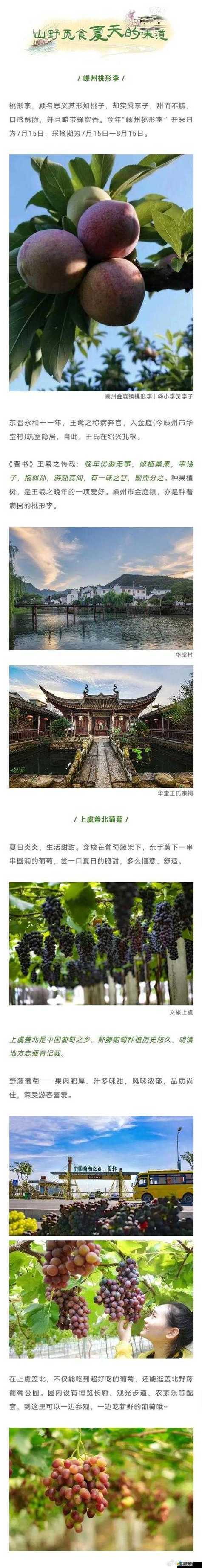X9X9X9 搡 BBBB 搡 BBB 的奇妙探索之旅